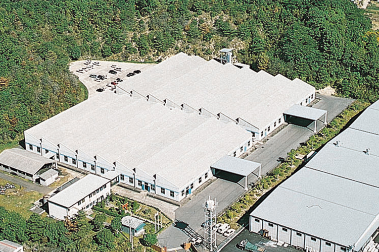 Kishima plant image